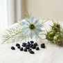 Nigella