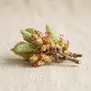 Flor de Avelã
