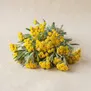 Immortelle