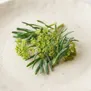 Crithmum