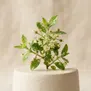 Paradisamide