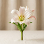 Lírio Crinum