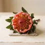Flor-de-Cone