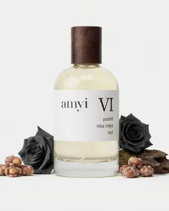 Amyi VI