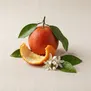 Laranja-da-Terra