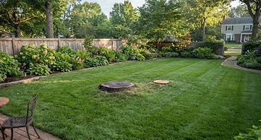Pristine lawn after tree removal with no debris