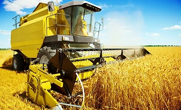 Farm & Processing Productivity, Yield & Cost Performance