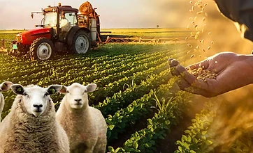 Limited Agricultural Finance, Insurance & Risk-transfer Access