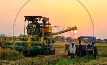 Agribusiness Value Chain Integration & Partnership Design