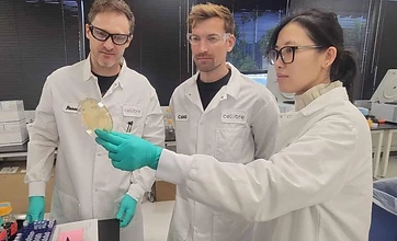 Api, Biologics & Critical-medicine Supply Concentration