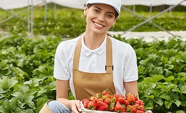 Agrifood Quality, Traceability & Market Standards