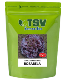 Alface Rosabela