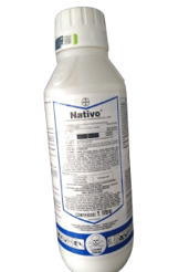 Nativo