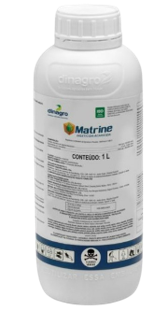 Matrine