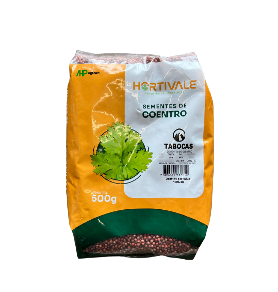 Coentro Tabocas