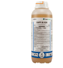Zapp QI 620 1L