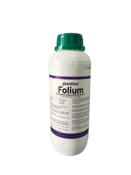 Plantivo Folium
