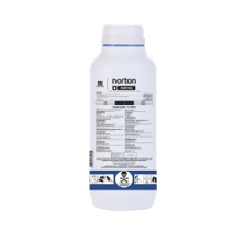 Norton 1L