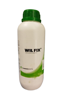 Wil Fix