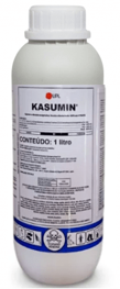 Kasumin