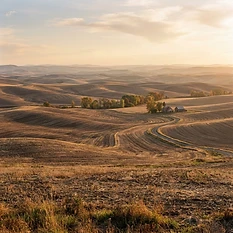 An artistic, high-fidelity rendering of rolling, post-harvest fields in early autumn. The landscape is dominated by gentle, undulating curves of brown, wheat-stubble covered earth. Soft, warm late-afternoon light brushes across the contours, creating a peaceful, quiet atmosphere. Wide, panoramic view that emphasizes the scale and softness of the hills.
