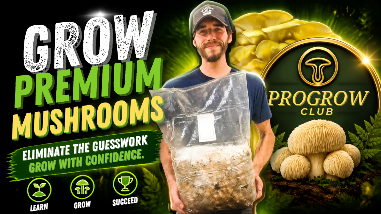 Ten Mile Mushrooms YouTube channel