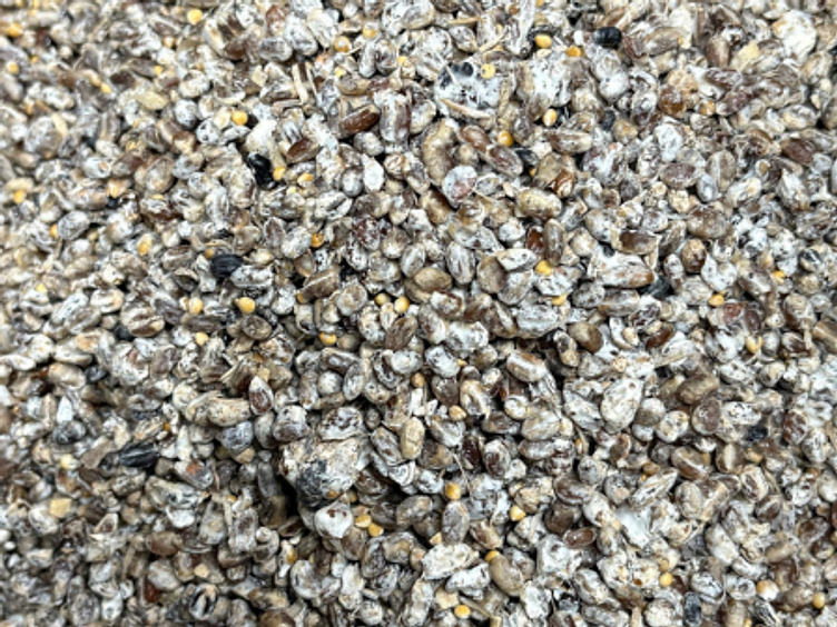 Commercial grain spawn