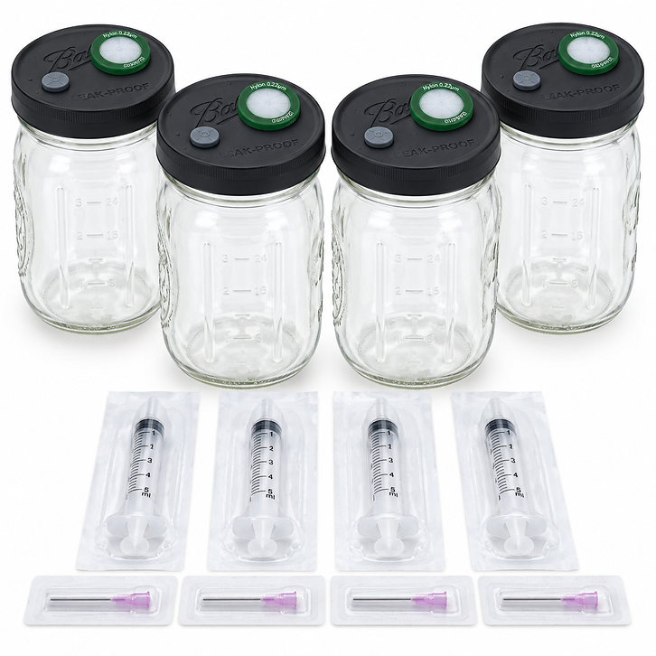 Liquid Culture 4-Pack: four quart size glass jars with black filter lids, plus four sterile syringes and four sterile needles on a white background