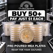 Buy 50+ pre-poured MEA plates — pay just $1 each