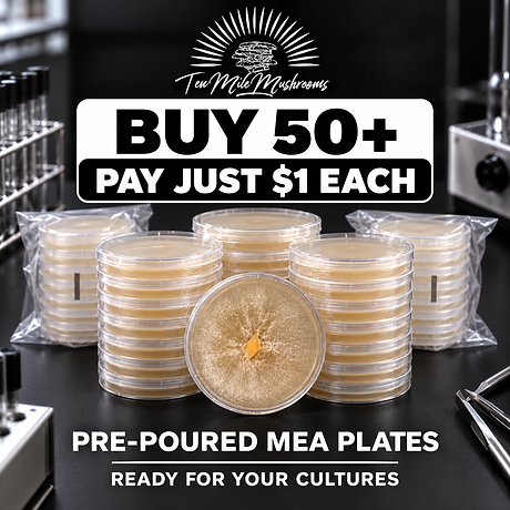Buy 50+ — Pay just $1 each