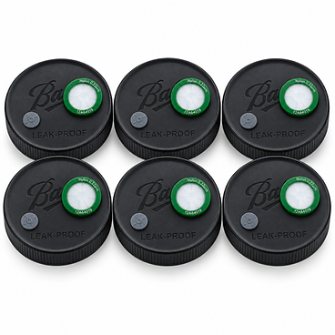 Wide-Mouth Liquid Culture Jar Lids with Syringe Filters and Injection Ports | 6-Pack