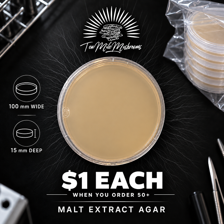 Agar plate dimensions — 100 mm wide, 15 mm deep