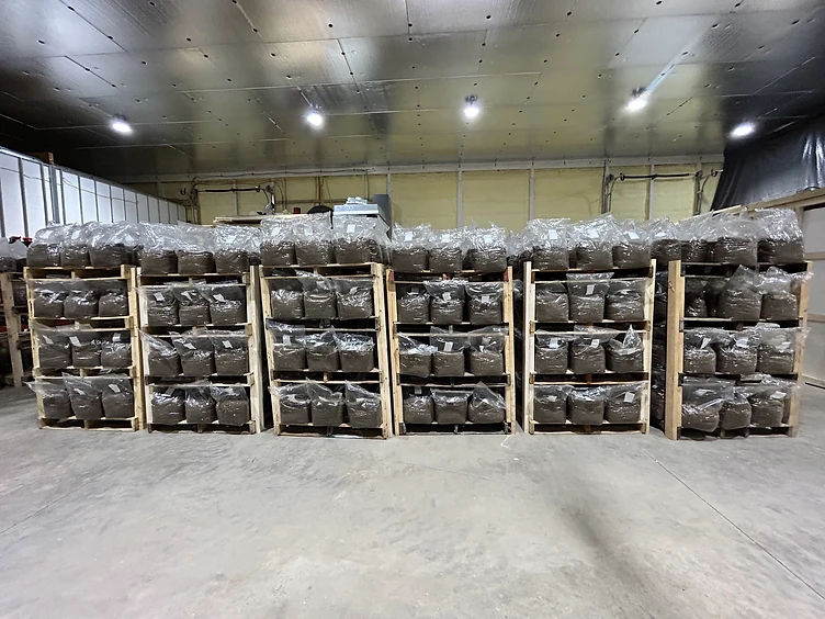 Wholesale ready to fruit substrate