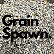 Piopinno Grain Spawn
