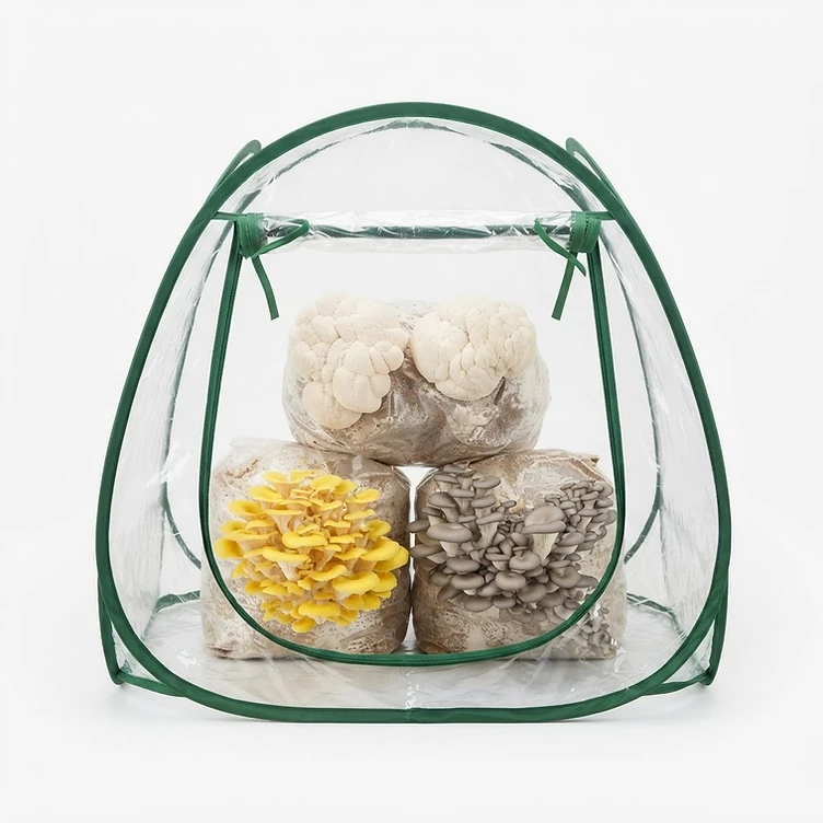 Mushroom Grow Tent for Beginners