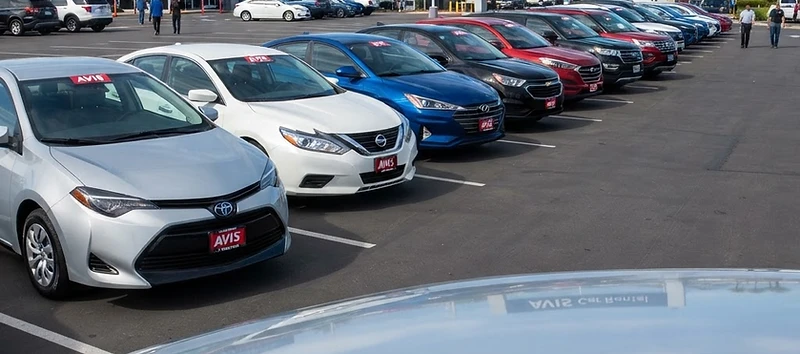 Rental Cars