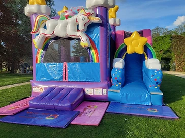 Multiplay Unicorn Wet & Dry