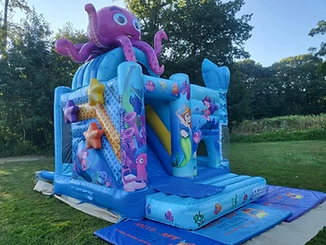 Octopus