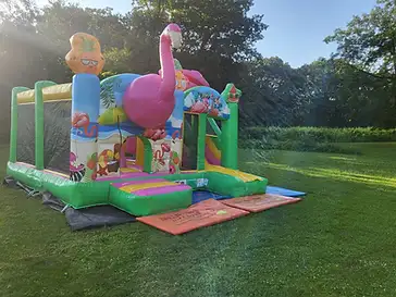 Flamingo Combo