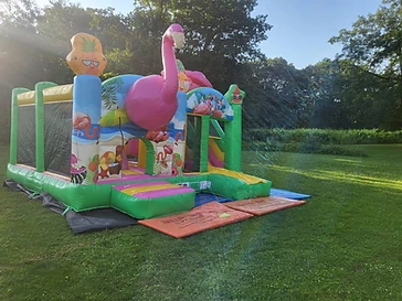 Flamingo Combo