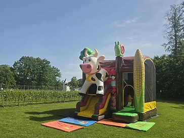 Combo Boerderij