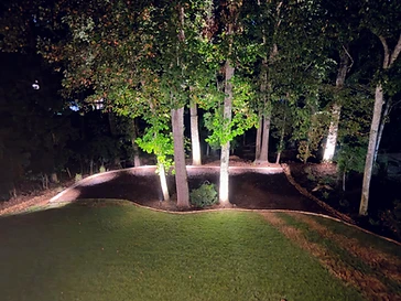 Backyard with stone edge, mulch beds, and uplighting at dusk