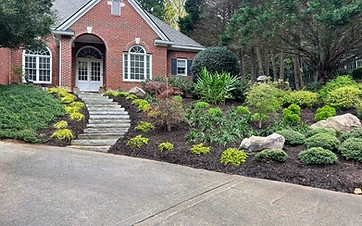 Landscape Designer Services