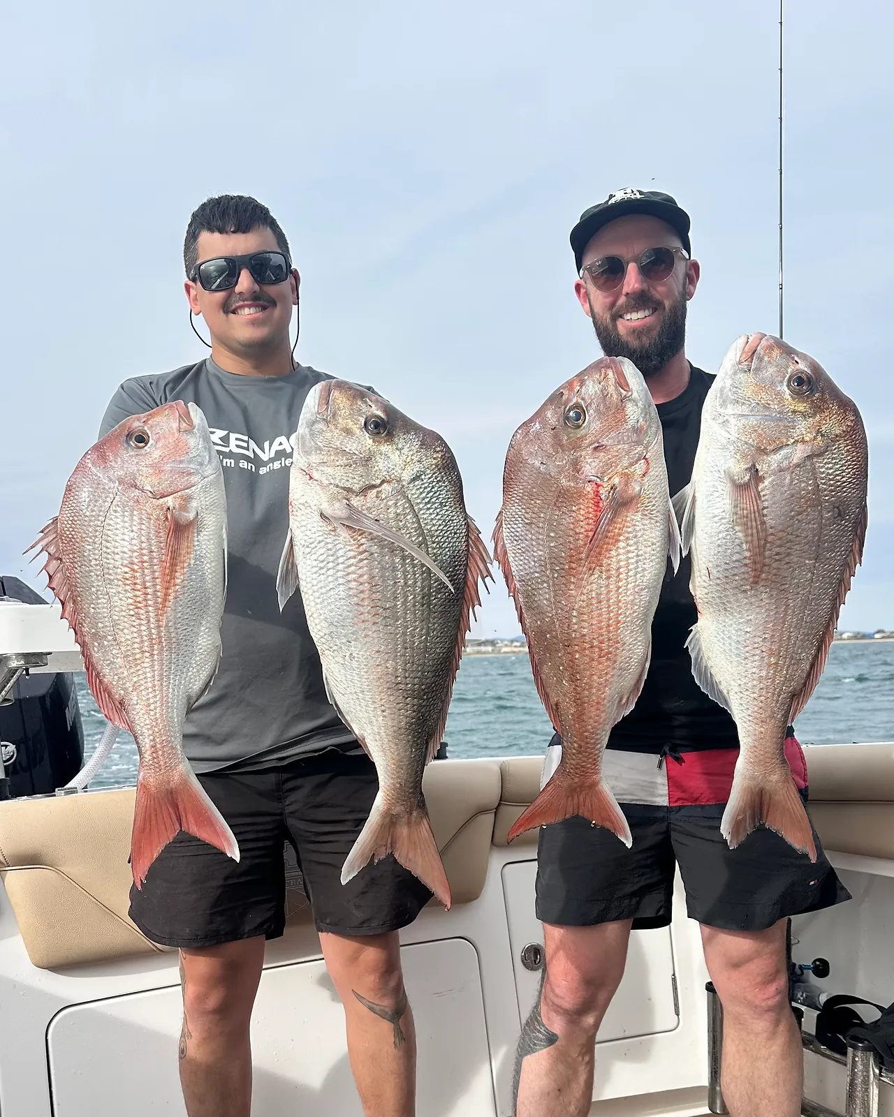 Snapper