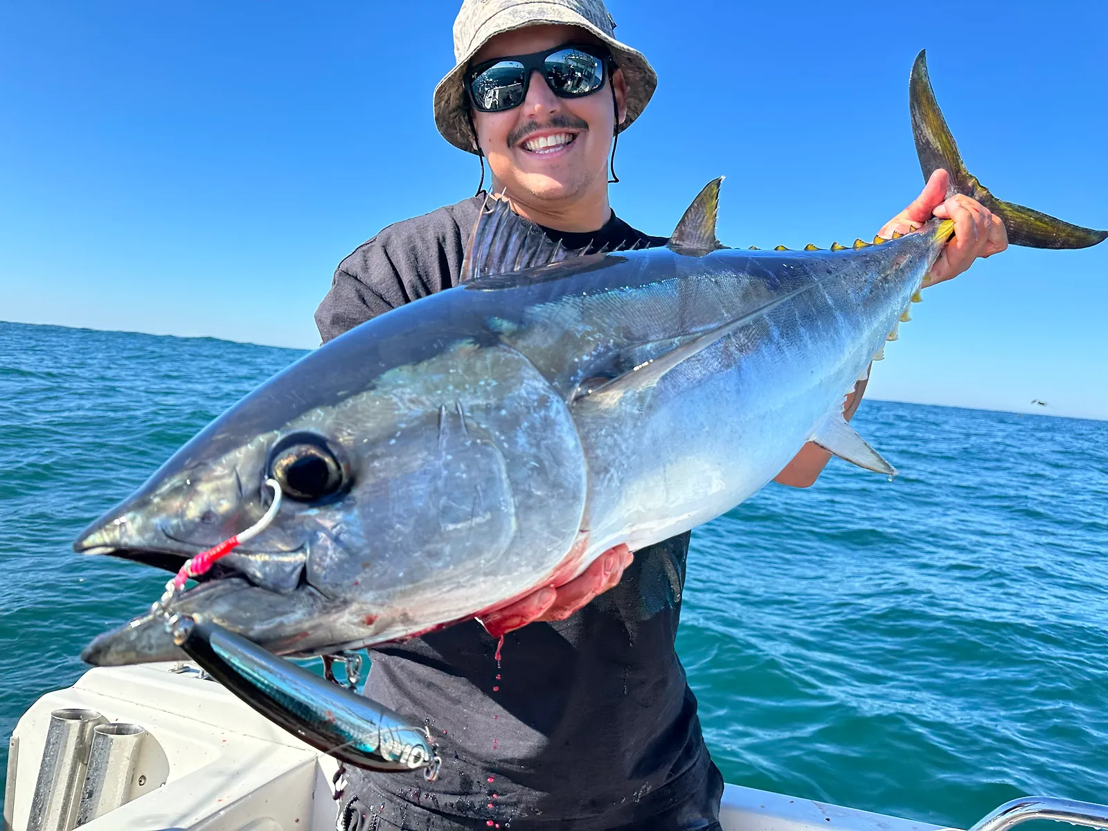 Bluefin Tuna