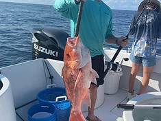 Another Day, Another Catch