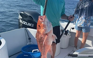 Cast Away: Destin's Ultimate 3/4 Day Fishing Adventure!
