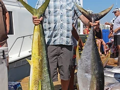 Another Day, Another Catch