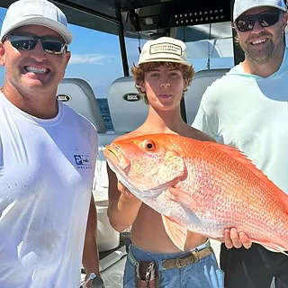 The Catch of the Day