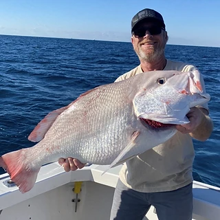Memories Made on the Gulf